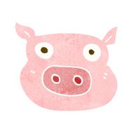 Cartoon Pig Face N20