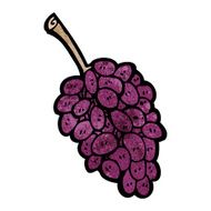 Cartoon Grapes N8