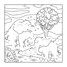 Numbers game (elephants)