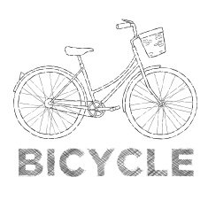 Bicycle N17