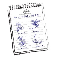 Handdrawn set - Ayurvedic Herbs N5