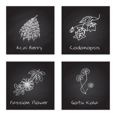 Handdrawn Illustration - Health and Nature Set N40