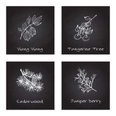 Handdrawn Illustration - Health and Nature Set N41
