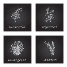 Handdrawn Illustration - Health and Nature Set N42