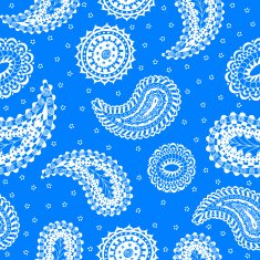 seamless pattern paisley