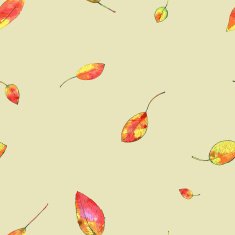 autumn leaf background N21