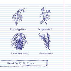 Handdrawn Illustration - Health and Nature Set N44
