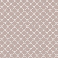Lace seamless pattern