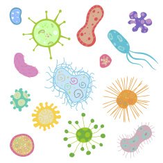Vector Bacterium Pattern