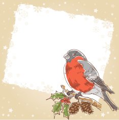 Christmas hand drawn retro postcard with bullfinch bird