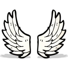 Cartoon Angel Wings N17