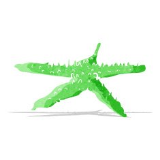Cartoon Starfish N91