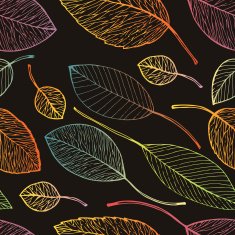 autumn leaf background N22