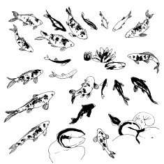 Koi fish set
