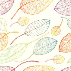 autumn leaf background N23