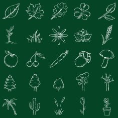 Vector Plants Icons