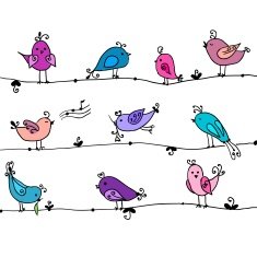 Set of cute birds in vector N2