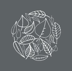 Leaf background N16