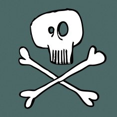 skull and crossbones N11