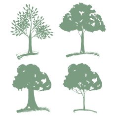Vector set of different Green Silhouettes Trees Landscapegn