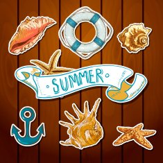 Summer Card with Sea Shells Anchor Lifeline N12