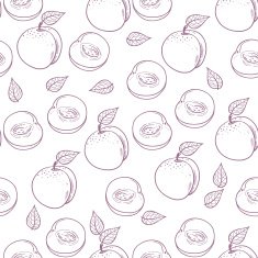 Hand drawn outline peach with slice seamless pattern