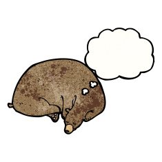 Sleeping Bear Cartoon N5