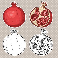 Black and white colorful pomegranates N2