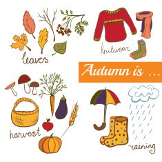 Set of vector elements Autumn is