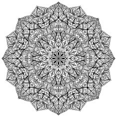 Vector mandala with floral ornaments