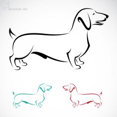 Vector image of an dog (Dachshund) N3