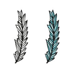 Doodling hand drawn amazing feathers with patterns N13