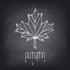 Hand drawn autumn word and leaf on blackboard