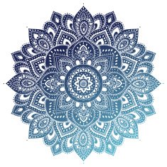 Beautiful Indian floral ornament N14
