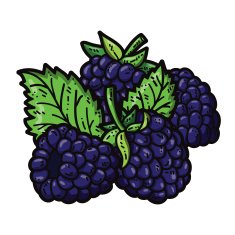 cute blackberries N7
