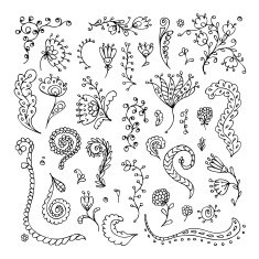 Set of floral ornaments for your design N6