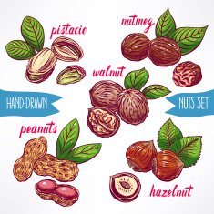 set with colorful nuts