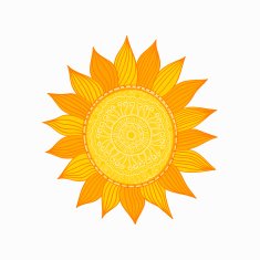 Sunflower Illustration N2