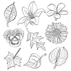 Flowers & leaves N2
