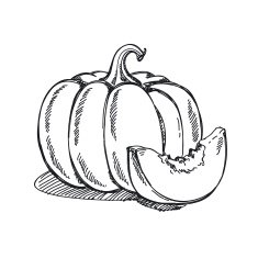 Pumpkin N15