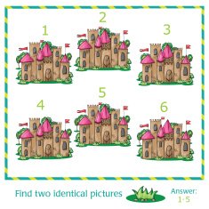 Find two identical pictures N6