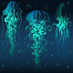 Hand drawn jellyfish N3