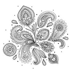 Beautiful Indian paisley ornament N9