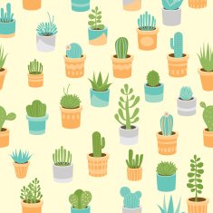 Succulents N2