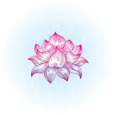 lotus in hand-drawn style