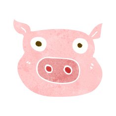 Cartoon Pig Face N20