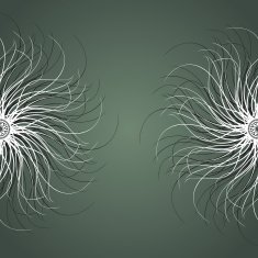 Vector Colored Abstract Background N11