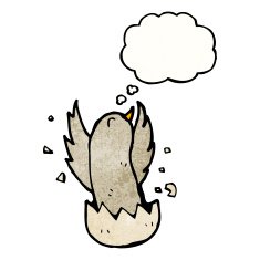 Cartoon Bird Hatching N4