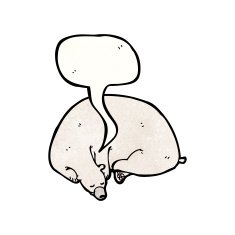 Sleeping Polar Bear N4