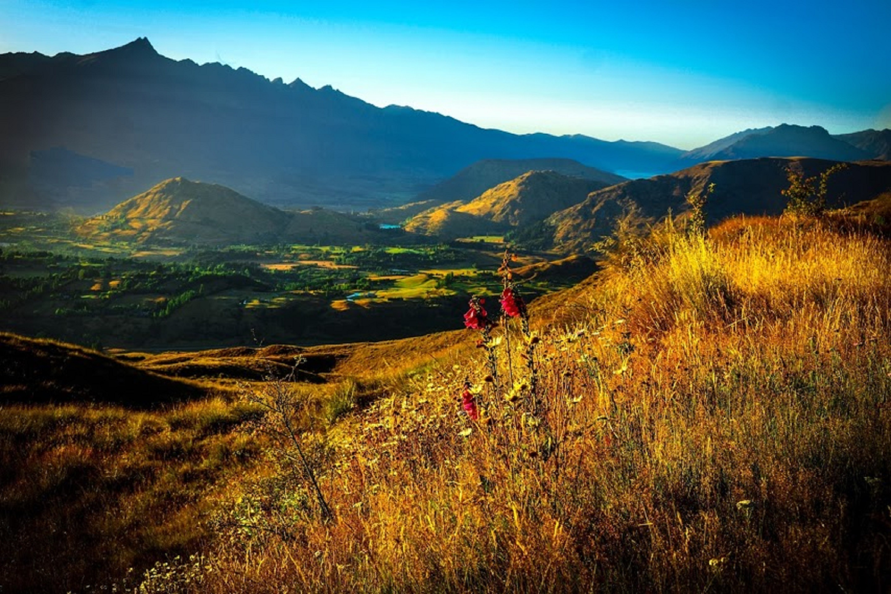 Coronet Peak in New Zealand free image download